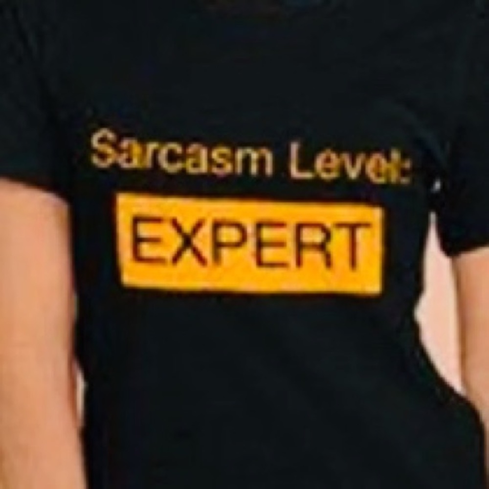 🔥NWT Sarcastic level “Expert” Tee Shirt. 🔥